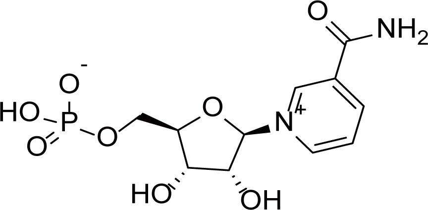 β-烟酰胺单核苷酸